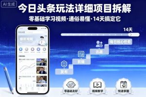 今日头条玩法详细项目拆解,零基础学习视频 通俗易懂 14天搞定它-阳知网创资源库