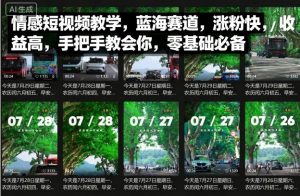 情感短视频教学，蓝海赛道，涨粉快，收益高，手把手教会你，零基础必备-阳知网创资源库