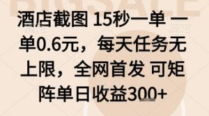 酒店截图项目,15秒一单,一单0.6米,每天任务无上限,全网首发可矩阵单日收益3张+【揭秘】-阳知网创资源库