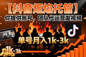【抖音炬焰托管】你提供账号,团队代运营发视频,单号月入1k+【揭秘】-阳知网创资源库