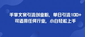 手掌文案引流创业粉，单日引流100+，可适用任何行业，小白轻松上手-阳知网创资源库
