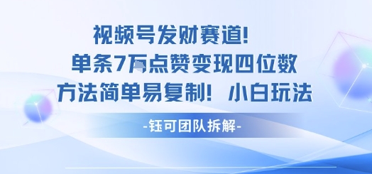 视频号发财赛道单条7W点赞变现四位数方法简单易复制小白玩法-阳知网创资源库