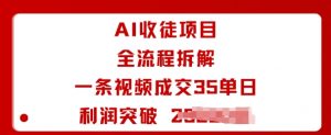 AI收徒项目全流程拆解一条视频成交35单日利润突破1k+-阳知网创资源库