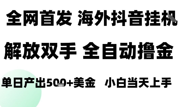 海外抖音无人直播,单日产出1.5k+,长期稳定,新手可玩,无脑操作【揭秘】-阳知网创资源库