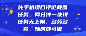 纯手机项目评论截图任务，两分钟一块钱多劳多得，随时随地都能做【揭秘】-阳知网创资源库