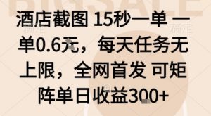 酒店截图15秒一单,一单0.6米,每天任务无上限,全网首发可矩阵单日收益3张【揭秘】-阳知网创资源库