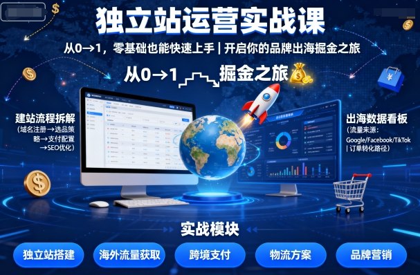 独立站运营实战课,从0到1,零基础也能快速上手,开启你的品牌出海掘金之旅-阳知网创资源库