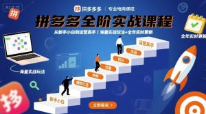 拼多多全阶实战课程，从新手小白到运营高手，海量实战玩法+全年实时更新【2025年9月更新】-阳知网创资源库