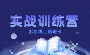 多多实战训练营,从0到1打造一个真正賺钱的店铺-阳知网创资源库