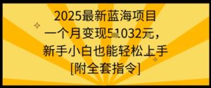 2025最新蓝海项目一个月变现1w+新手小白也能轻松上手【附全套指令】-阳知网创资源库