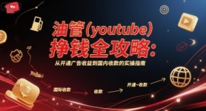 油管(youtube)挣钱全攻略:从开通广告收益到国内收款的实操指南(更新)-阳知网创资源库