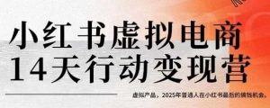小红书虚拟电商14天变现训练营,虚拟产品,2025年普通人在小红书最后的搞钱机会(更新)-阳知网创资源库