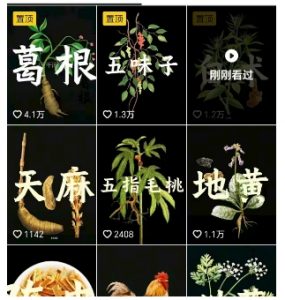 抖音中草药赛道,用AI做中草药故事视频,45条作品涨粉13W,橱窗带货猛猛出单-阳知网创资源库