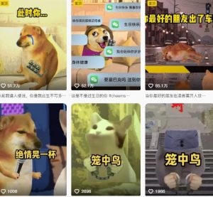 狗头幸运星UE5动画全套课程,从入门到实操全掌握-阳知网创资源库