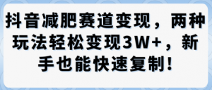 抖音减肥赛道变现，两种玩法轻松变现3W+，新手也能快速复制-阳知网创资源库