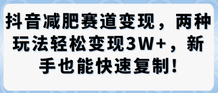 抖音减肥赛道变现,两种玩法轻松变现3W+,新手也能快速复制-阳知网创资源库