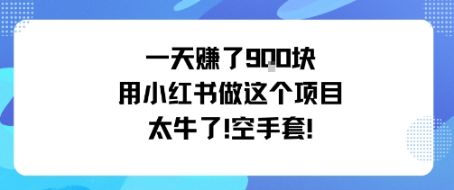 一天挣了9张用小红书做这个项目太牛了，空手套-阳知网创资源库