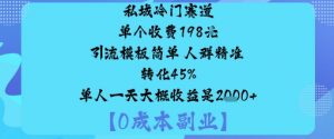 私域冷门赛道:单个收费198米引流模板简单人群精准转化45%单人一天大概收益是1k+-阳知网创资源库