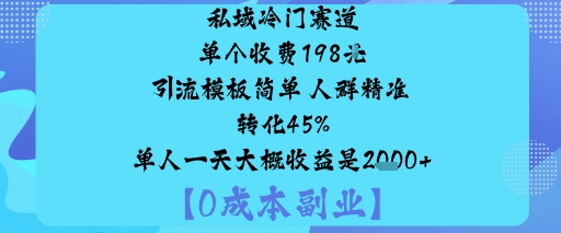 私域冷门赛道:单个收费198米引流模板简单人群精准转化45%单人一天大概收益是1k+-阳知网创资源库