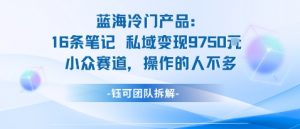 蓝海项目：16条笔记私域变现9750米小众赛道操作的人不多-阳知网创资源库