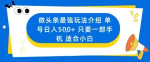 微头条最强玩法介绍一个号日入5张+只要一部手机适合小白-阳知网创资源库