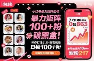 小红书暴力矩阵起号,教你打通引流-变现速通,日锁100+粉,破流量黑盒-阳知网创资源库