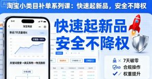 淘宝小类目补单系列课,快速起新品,安全不降权-阳知网创资源库