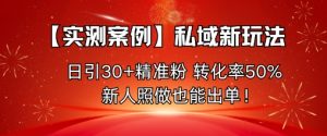 【实测案例】私域新玩法,日引30+精准粉,转化率50%,新人照做也能出单!-阳知网创资源库