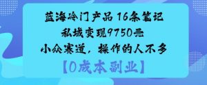 蓝海冷门产品：16条笔记私域变现9750米小众赛道，操作的人不多-阳知网创资源库