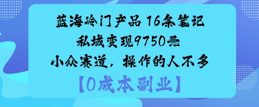 蓝海冷门产品：16条笔记私域变现9750米小众赛道，操作的人不多-阳知网创资源库
