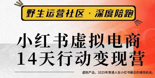 小红书虚拟电商14天变现训练营3.0,虚拟产品,2025年普通人在小红书最后的搞钱机会-阳知网创资源库