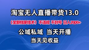 淘宝无人直播13.0，公域私域技术，不封号，不违规布局下半年旺季赛道，日入1K+（独家技术）【揭秘】-阳知网创资源库