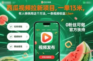 西瓜视频拉新项目,一单13米,有人悄悄用这个方法,一条视频收益2.5w+(附详细教程)-阳知网创资源库