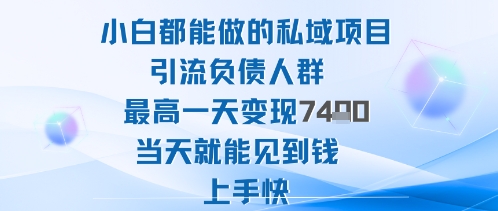 2025年小白都能做的私域项目引流负债人群最高一天变现1k+高变现难度低当天就能见到钱上手快-阳知网创资源库