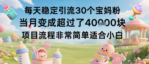 每天稳定引流30个宝妈粉当月变成超过了1W+项目流程非常简单适合小白-阳知网创资源库