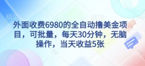 外面收费6980的全自动撸美刀项目，可批量，每天30分钟，无脑操作，当天收益5张【揭秘】-阳知网创资源库