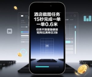 酒店截图任务,15秒完成一单,一单0.6米,任务不限量随便接,矩阵拉满单日3张【揭秘】-阳知网创资源库