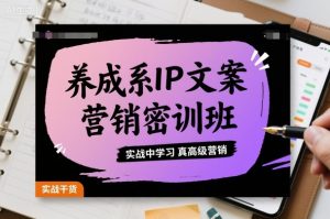 养成系IP文案营销密训班,实战中学习真高级营销-阳知网创资源库