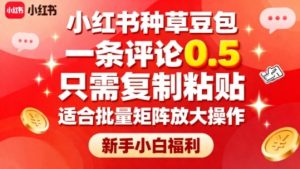 小红书种草豆包,一条评论0.5,只需复制粘贴,适合批量矩阵放大操作,新手小白福利-阳知网创资源库