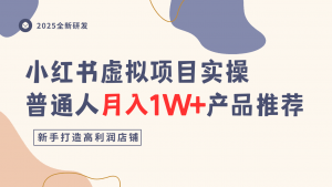小红书虚拟项目实操指南,普通人月入1W+产品推荐,直接抄-阳知网创资源库