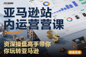 亚马逊站内运营课:资深操盘高手带你玩转亚马逊-阳知网创资源库