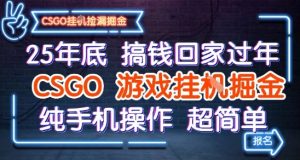 25年底搞钱回家过年,CSGO游戏挂G掘金,纯手机操作超简单【揭秘】-阳知网创资源库