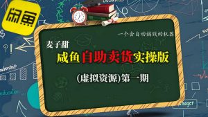 麦子甜咸鱼自助卖货实操版(虚拟资源)一个会自动搞钱的机器-阳知网创资源库