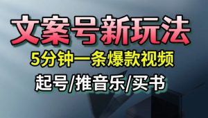 文案号新玩法,5分钟一条爆款视频,流量高,起号快,多方位变现-阳知网创资源库