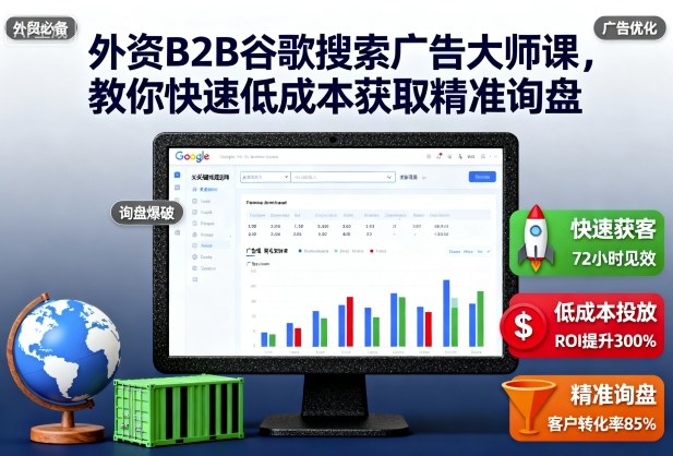 外资B2B谷歌搜索广告大师课,教你快速低成本获取精准询盘-阳知网创资源库