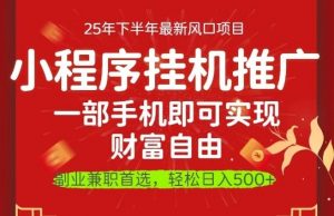 一部手机即可实现财富自由，微信小程序推广最新玩法教学，操作简单容易上手【揭秘】-阳知网创资源库