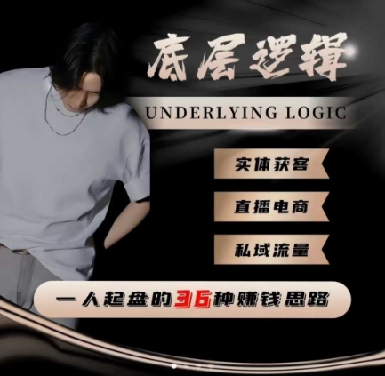 一个人起盘的底层逻辑,私域流量-直播电商-实体获客,一人起盘的36种賺钱思路-阳知网创资源库
