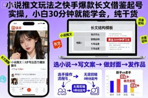 小说推文玩法之快手爆款长文借鉴起号实操，小白30分钟就能学会，纯干货-阳知网创资源库