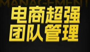 电商超强团队管理,组织绩效,到用人执行,分权合伙-阳知网创资源库