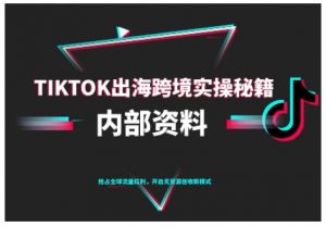 TikTok跨境电商0-1搭建运营,TK出海跨境实操秘籍(10月更新)-阳知网创资源库